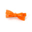 Bow knot Hair Clip